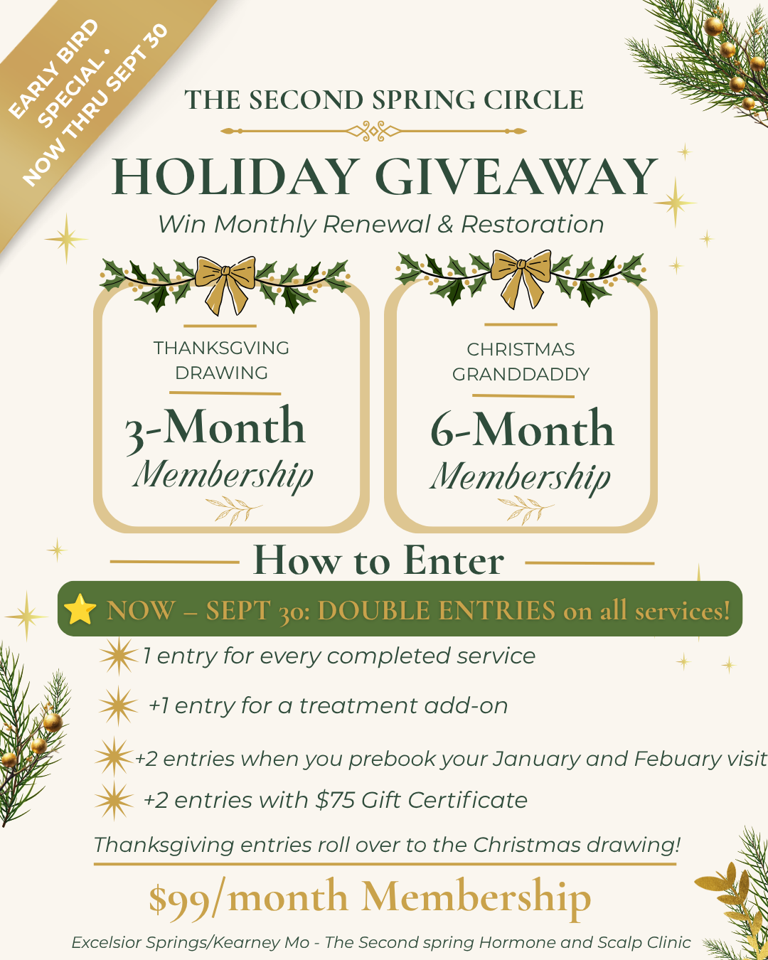 The Second Spring Circle Holiday Giveaway flyer